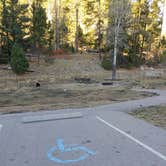 Review photo of Lower Fir Group Campground by Laura M., November 30, 2020