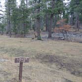 Review photo of Lower Fir Group Campground by Laura M., November 30, 2020