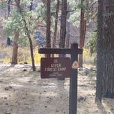 Review photo of Aspen Campground by Jose R., November 30, 2020