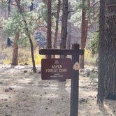 Review photo of Apache National Forest Aspen Forest Camp by Jose R., November 30, 2020