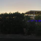 Review photo of BeachComber Resort by Brittney  C., December 1, 2020