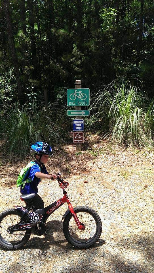 Camper submitted image from Lincoln Parish Park - 3