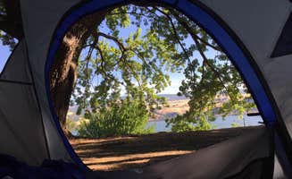 Alicia F.'s photo at Memaloose State Park Campground near Bingen, WA
