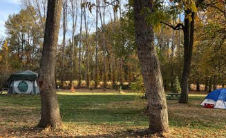 Alicia F.'s photo of camping with pets at Jackson Wellsprings near Central Point, OR