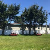 Review photo of Driftwood RV Park by Alicia F., December 1, 2020