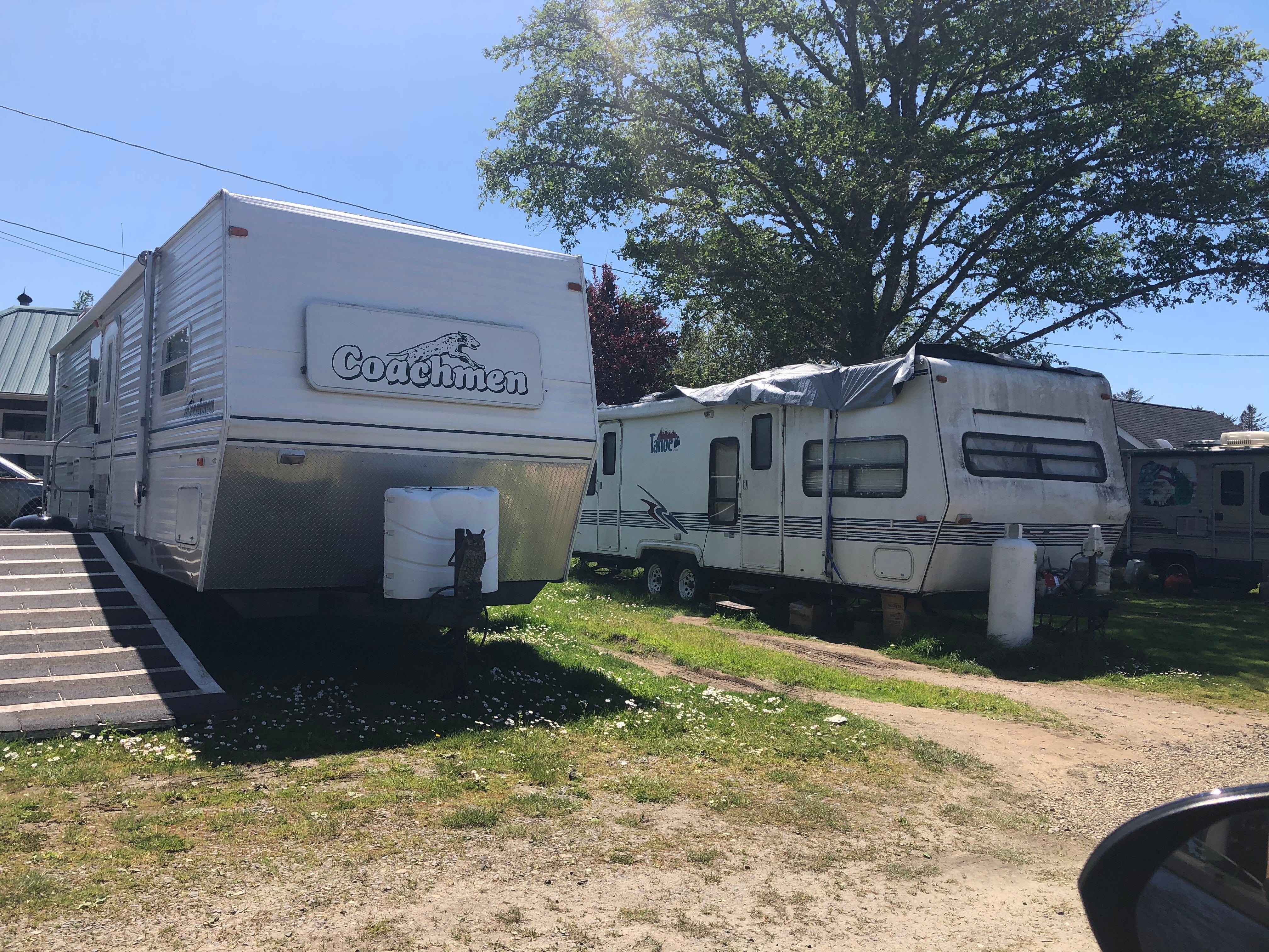 Camper submitted image from Driftwood RV Park - 1