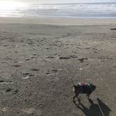 Review photo of Fort Stevens State Park Campground by Alicia F., December 1, 2020
