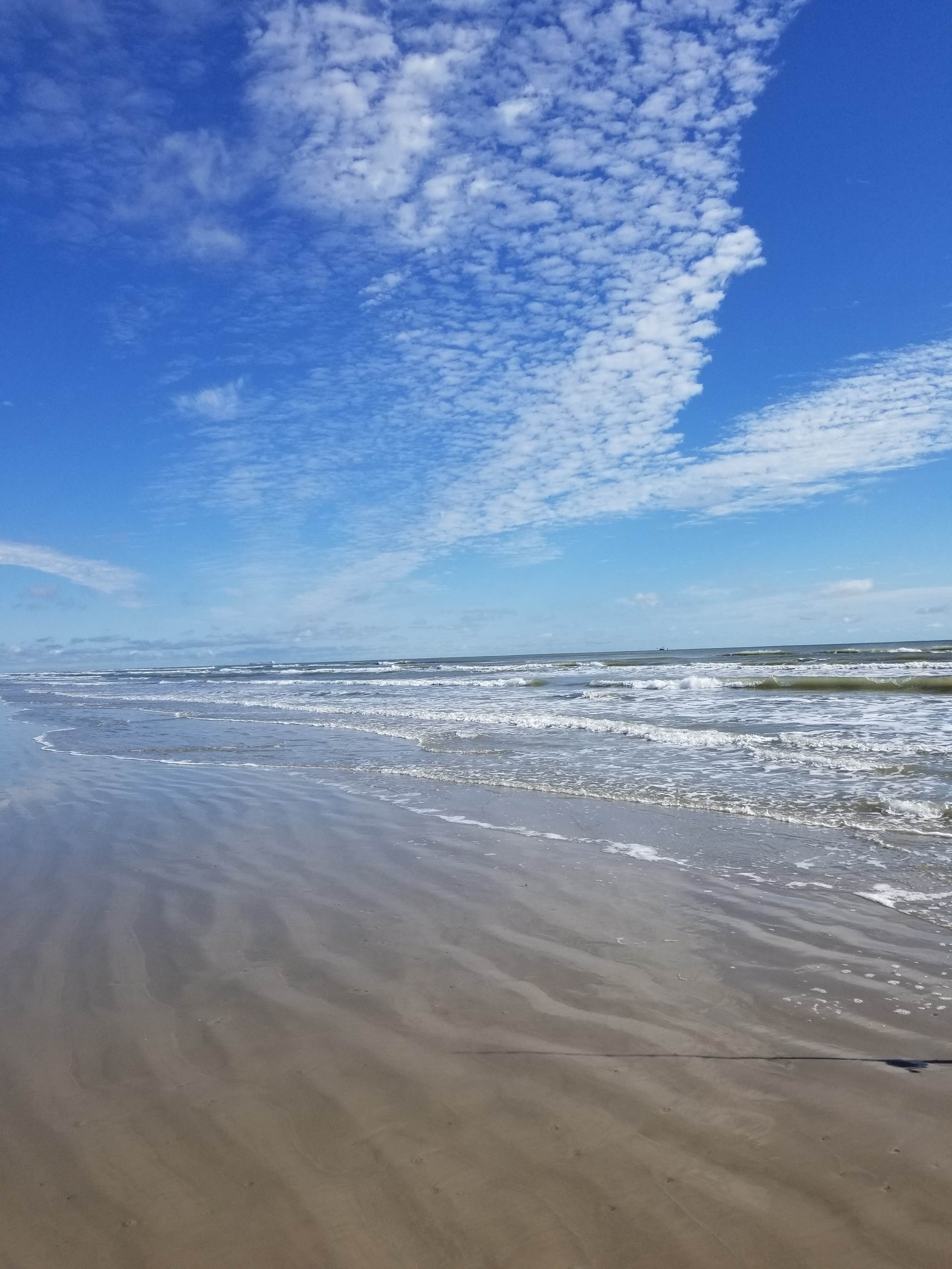 Camper-submitted photo at Palm Harbor RV Park near Fulton, TX