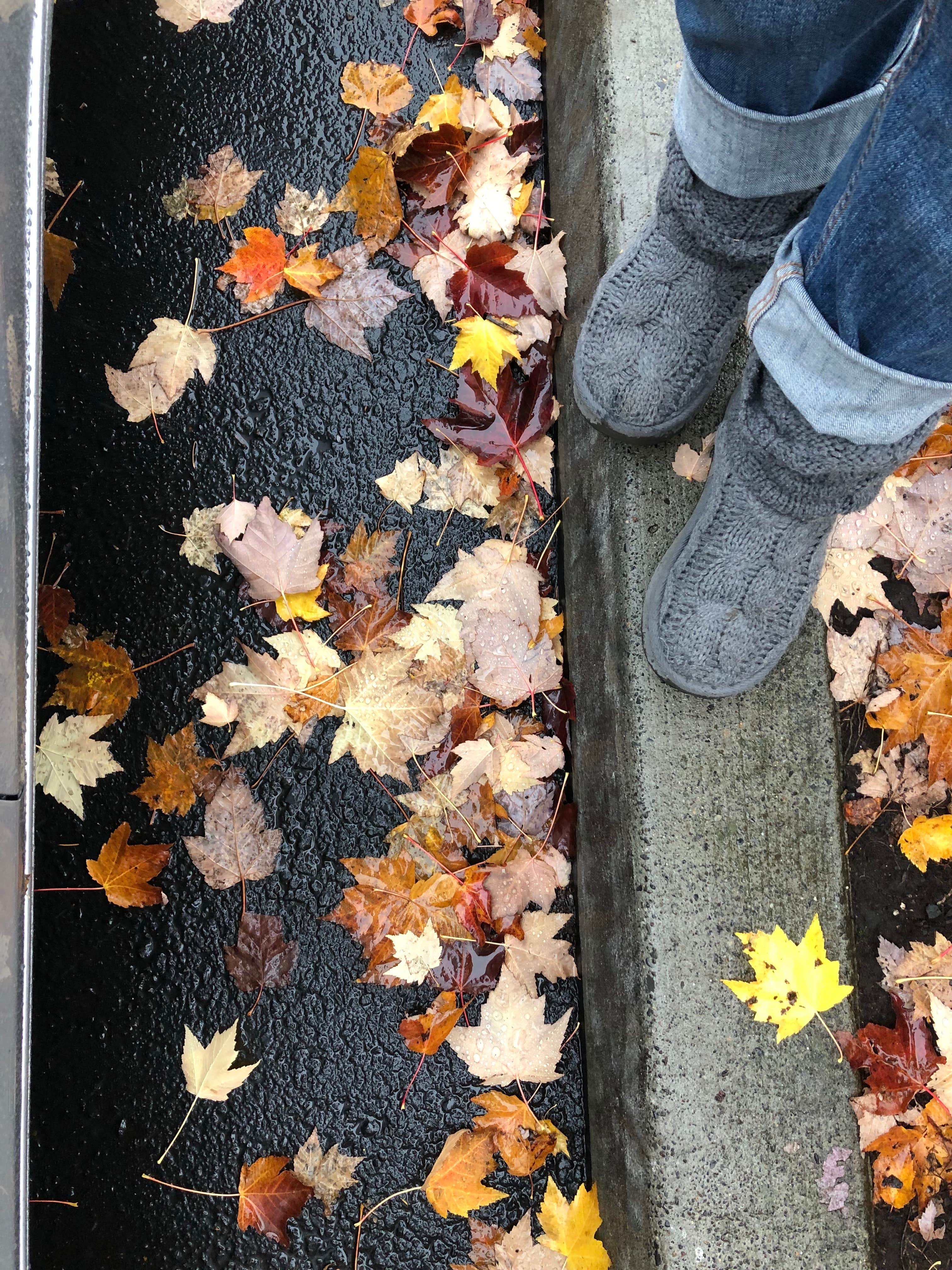 Camper-submitted photo at Diamond Hill RV Park near East Springfield, OR