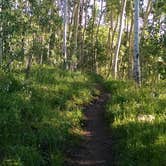 Review photo of Lakeview Campground by Sarah L., May 25, 2018