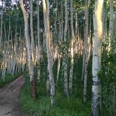 Review photo of Lakeview Campground by Sarah L., May 25, 2018
