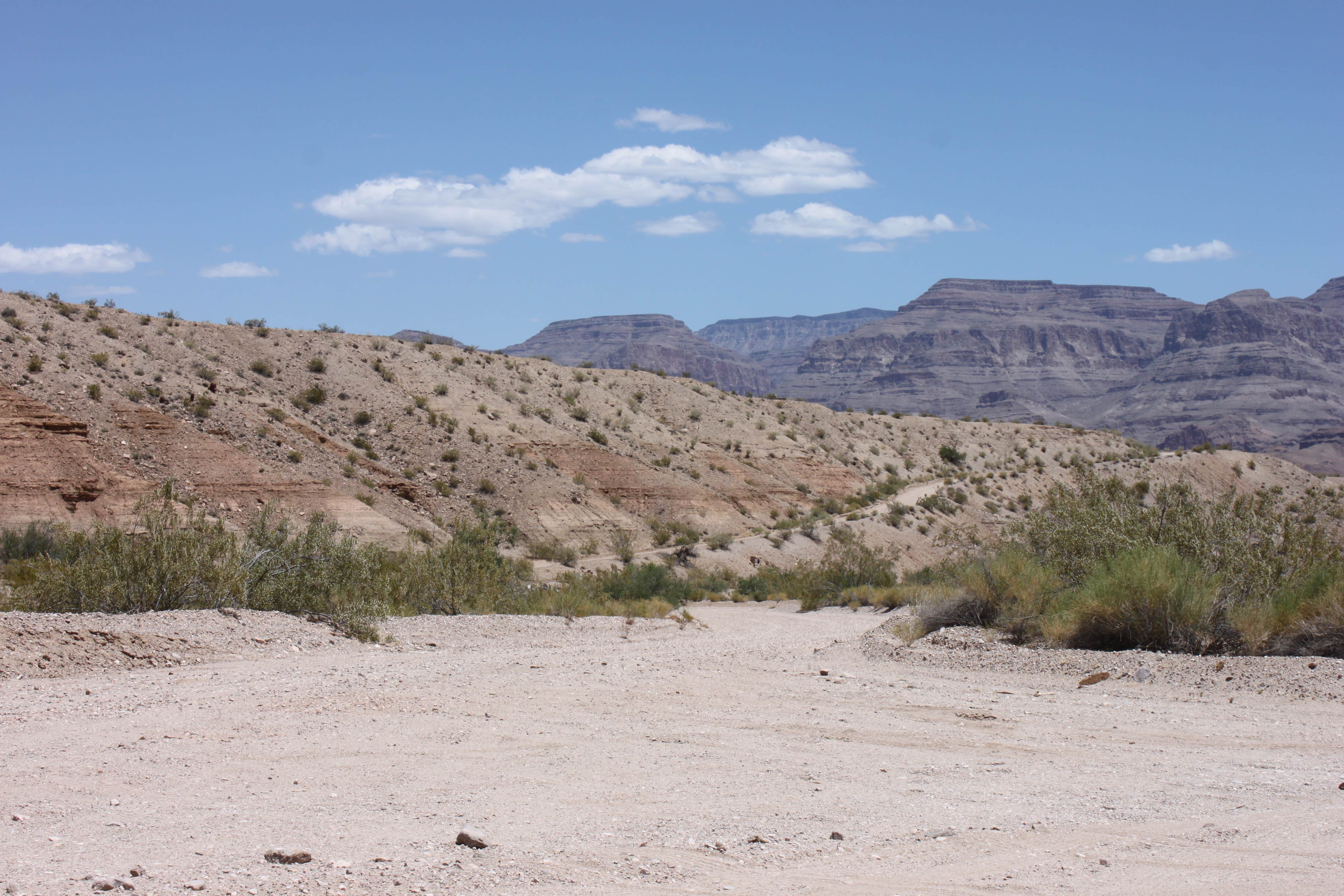 Camper submitted image from Pearce Ferry Campground — Lake Mead National Recreation Area - 2