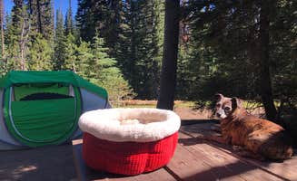 Alicia F.'s photo at Mazama Village Campground — Crater Lake National Park near Crater Lake National Park