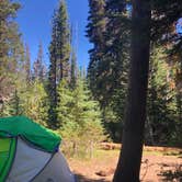 Review photo of Mazama Village Campground — Crater Lake National Park by Alicia F., December 1, 2020