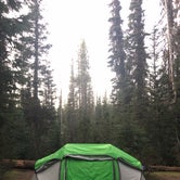 Review photo of Mazama Village Campground — Crater Lake National Park by Alicia F., December 1, 2020