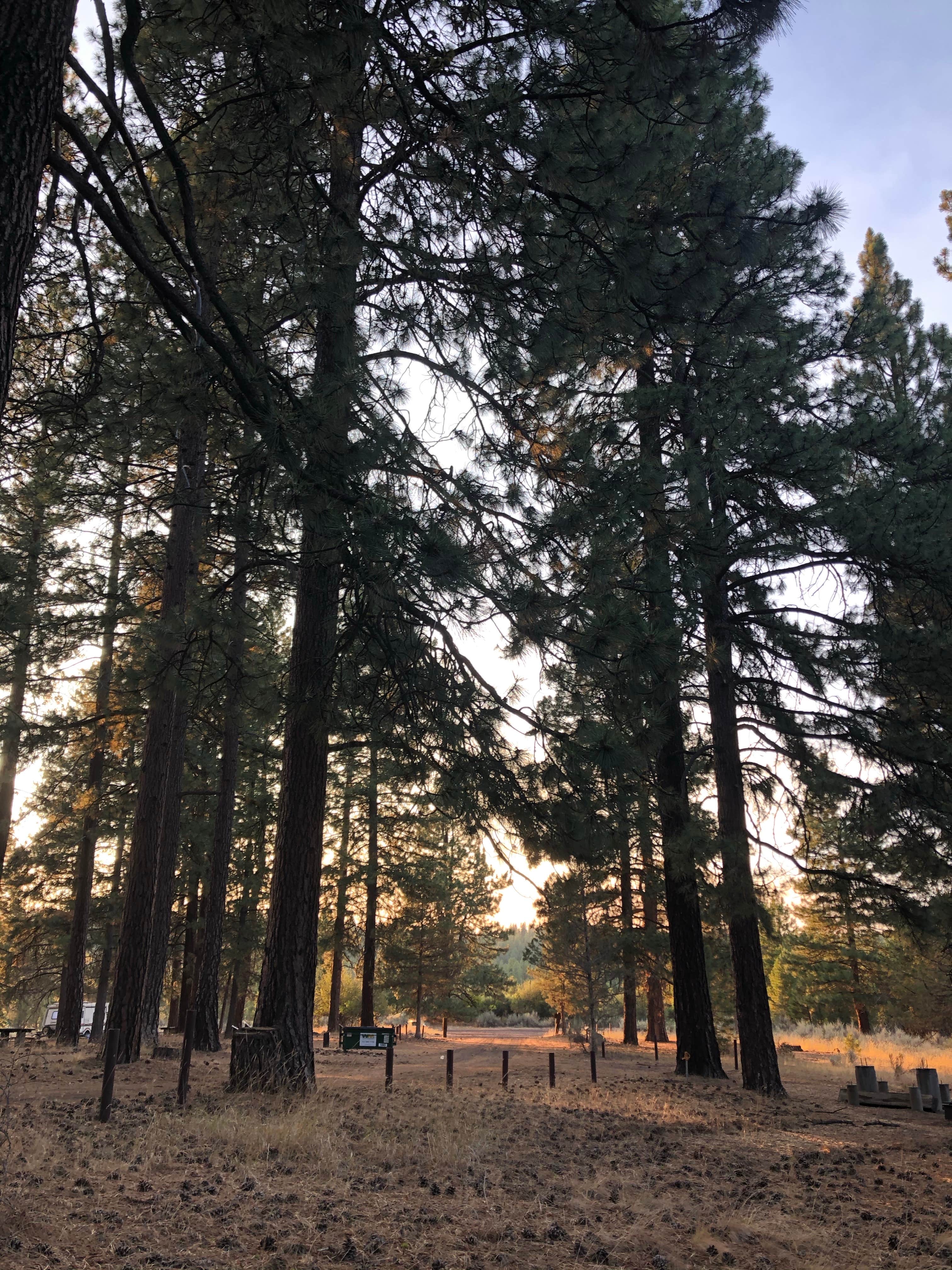 Camper-submitted photo at Keno Camp near Chiloquin, OR