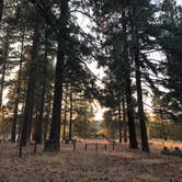 Review photo of Keno Camp by Alicia F., December 1, 2020