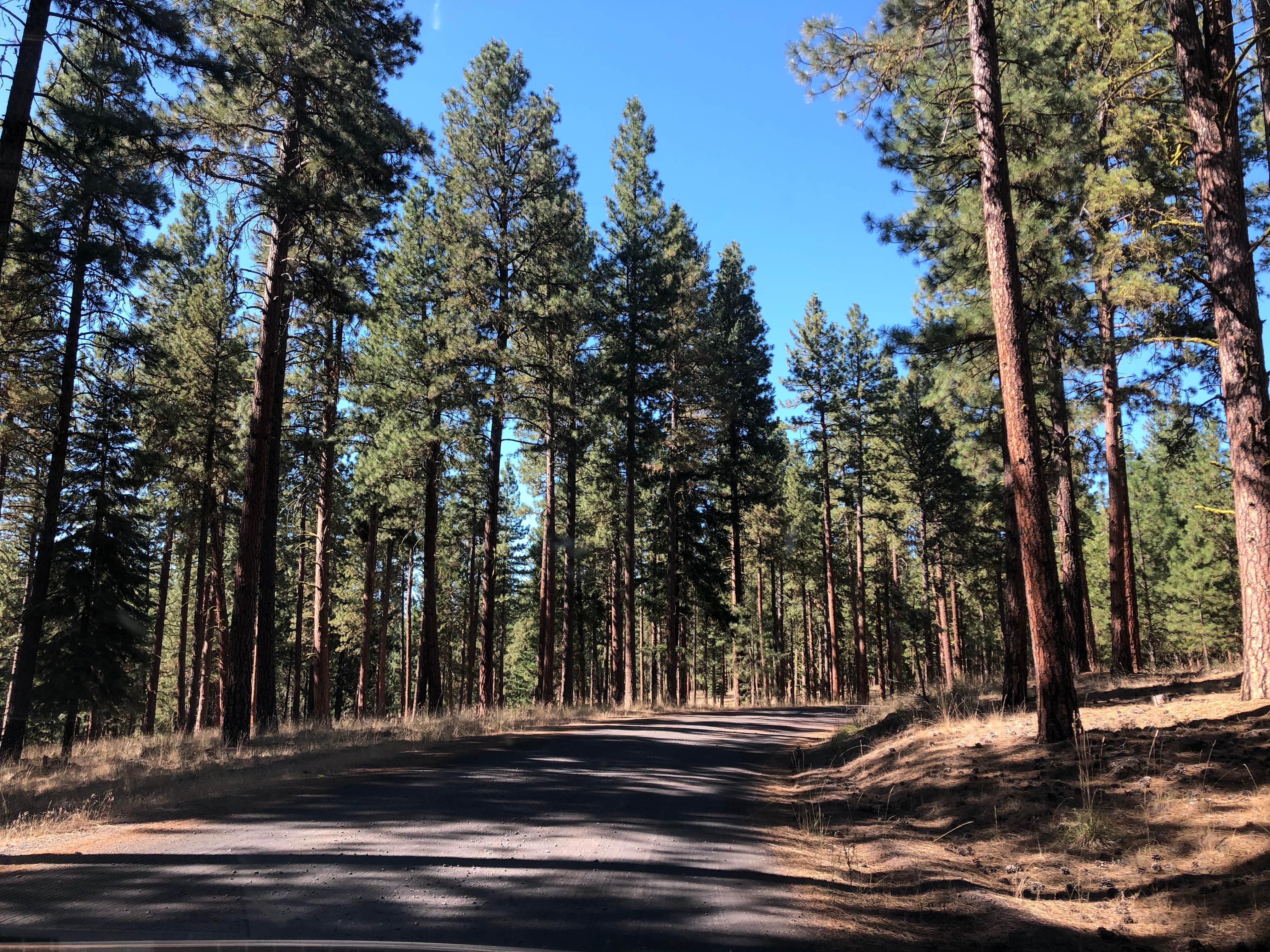 Camper-submitted photo at Keno Camp near Chiloquin, OR