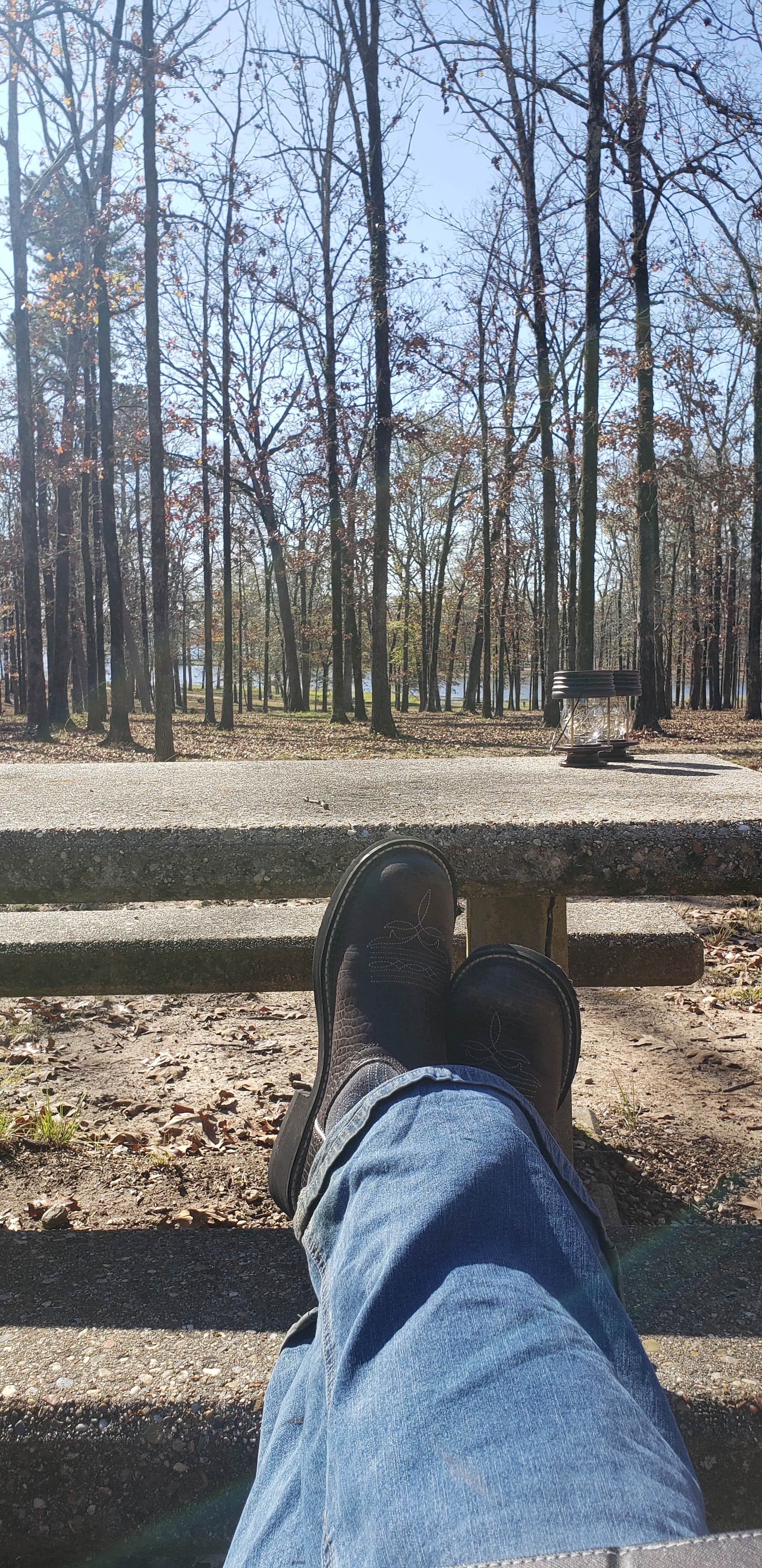 Camper submitted image from Cypress Black Bayou Recreation Area - 5