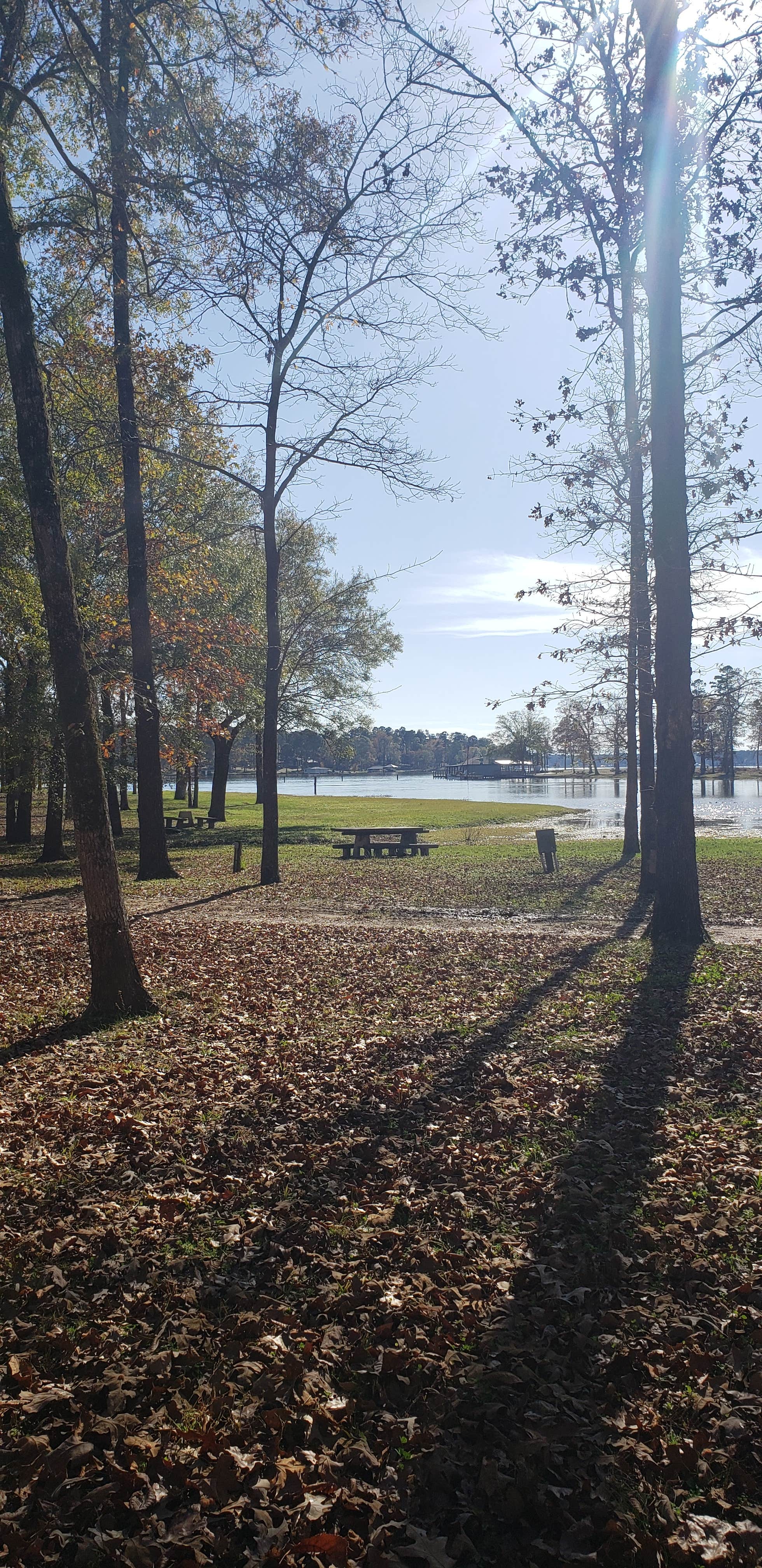 Camper submitted image from Cypress Black Bayou Recreation Area - 4