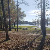 Review photo of Cypress Black Bayou Recreation Area by Sarah T., December 1, 2020
