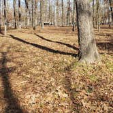 Review photo of Cypress Black Bayou Recreation Area by Sarah T., December 1, 2020