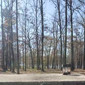 Review photo of Cypress Black Bayou Recreation Area by Sarah T., December 1, 2020