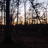 Review photo of Cypress Black Bayou Recreation Area by Sarah T., December 1, 2020