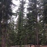 Review photo of Clear Lake Campground by Alicia F., December 1, 2020