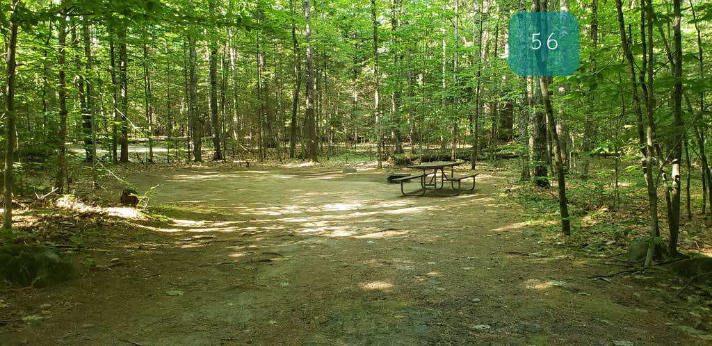 Camper submitted image from Campton Campground - 2