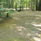 Review photo of Campton Campground by Jean C., December 1, 2020