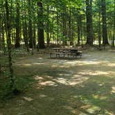 Review photo of Campton Campground by Jean C., December 1, 2020