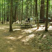 Review photo of Campton Campground by Jean C., December 1, 2020