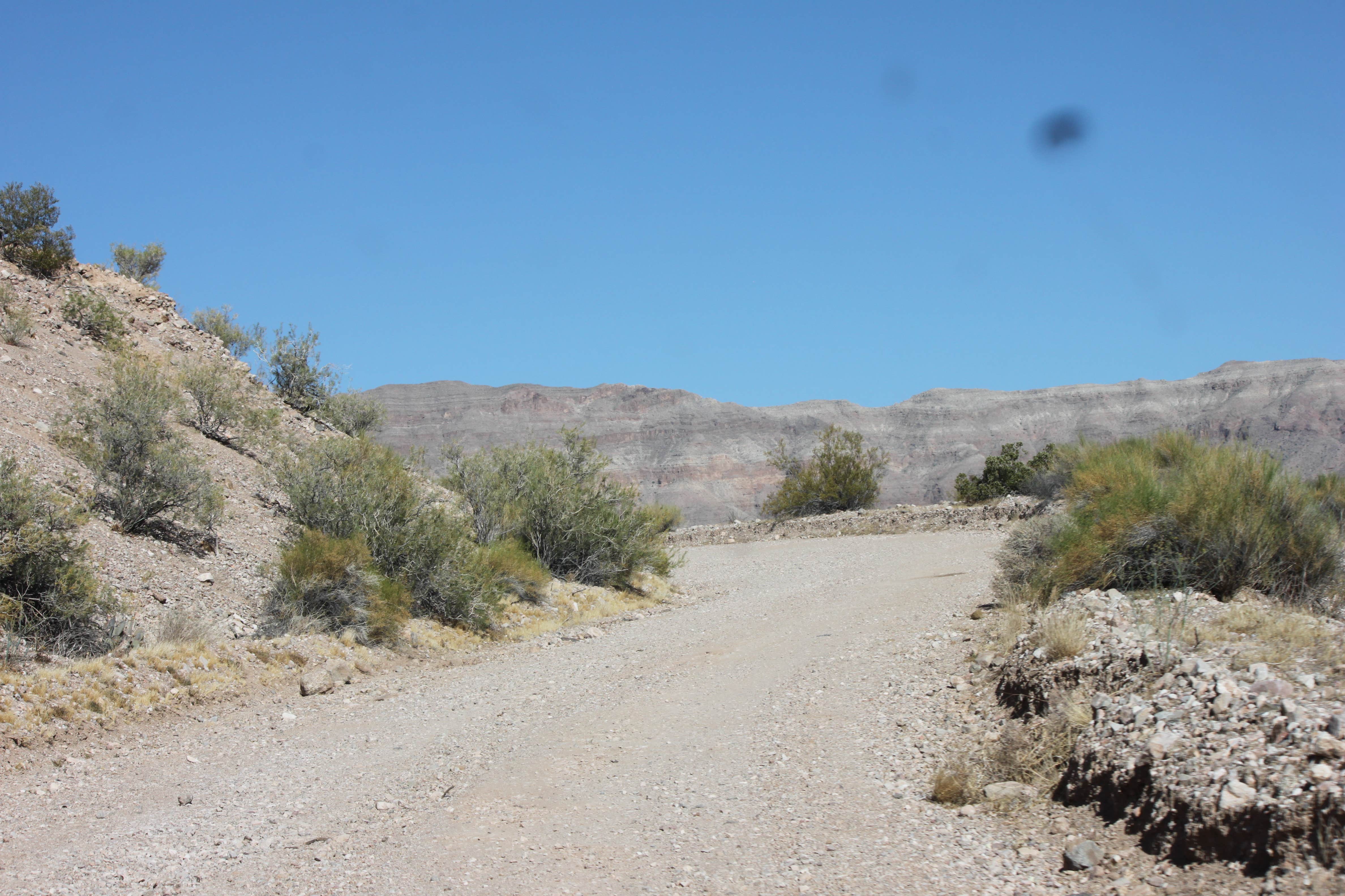 Camper submitted image from Pearce Ferry Campground — Lake Mead National Recreation Area - 5