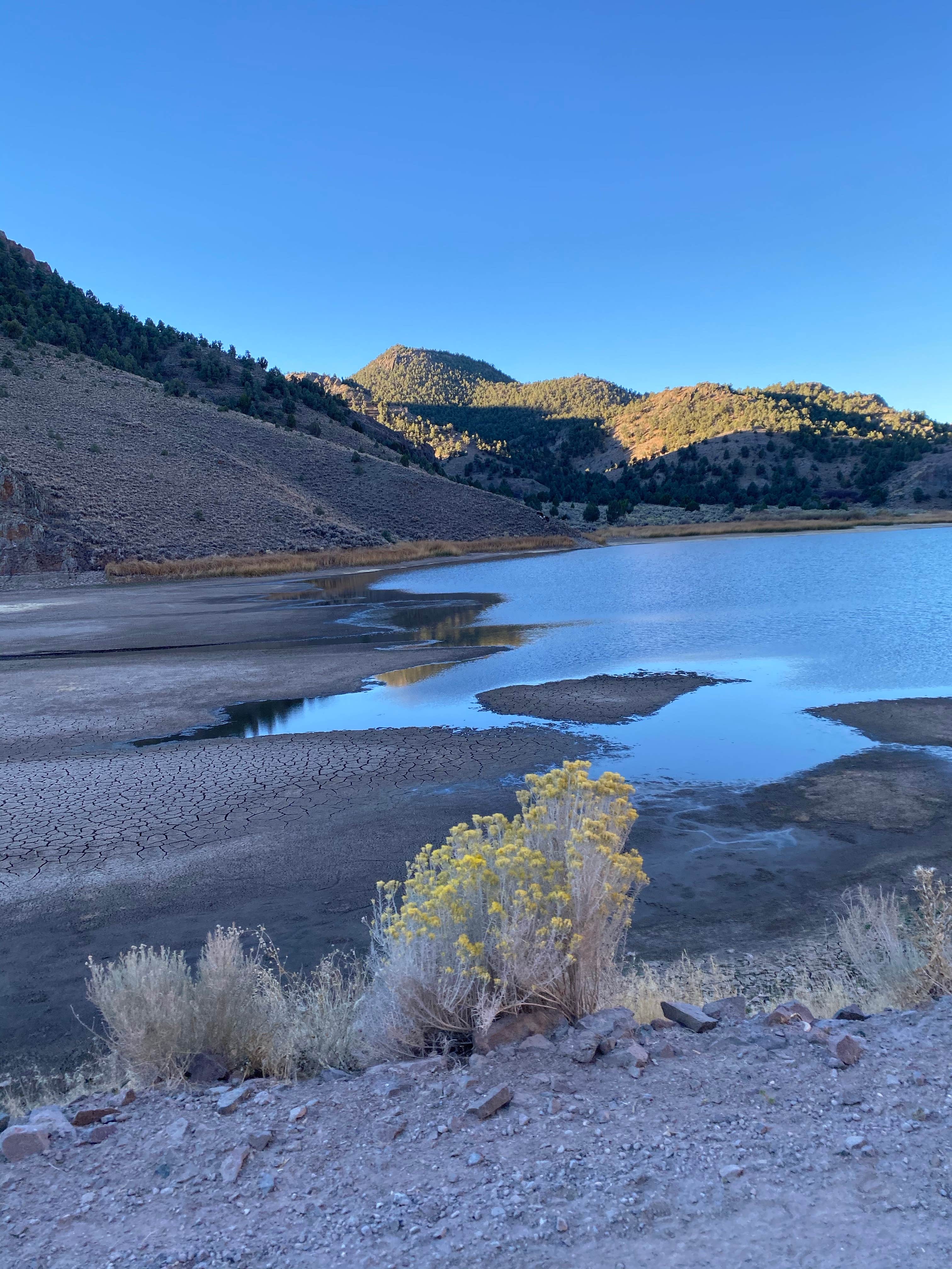 Brittney  C.'s photo of a dispersed camping area at Ranch Camp — Spring Valley State Park near Pioche, NV