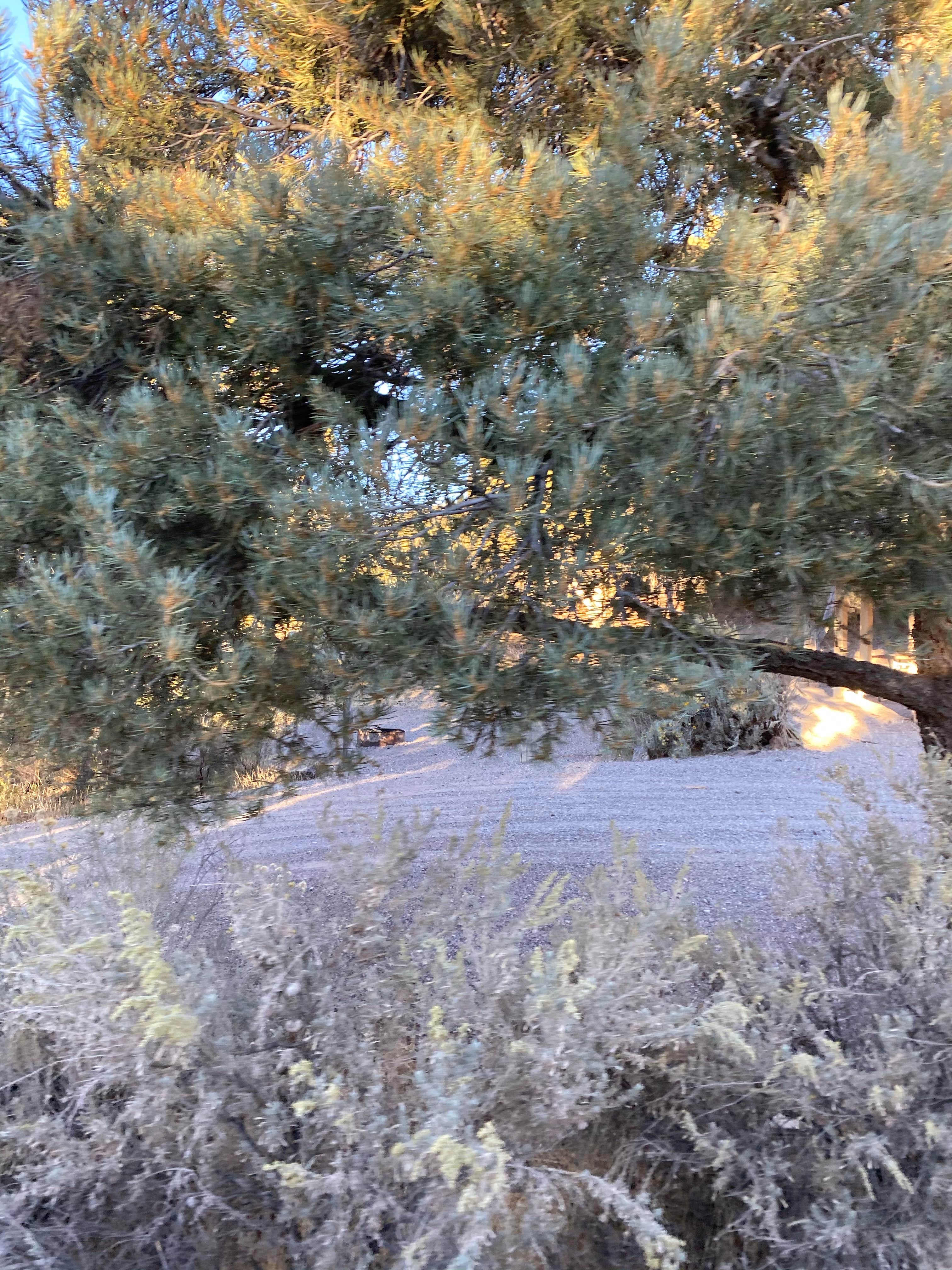 Camper-submitted photo at Ranch Camp — Spring Valley State Park near Pioche, NV