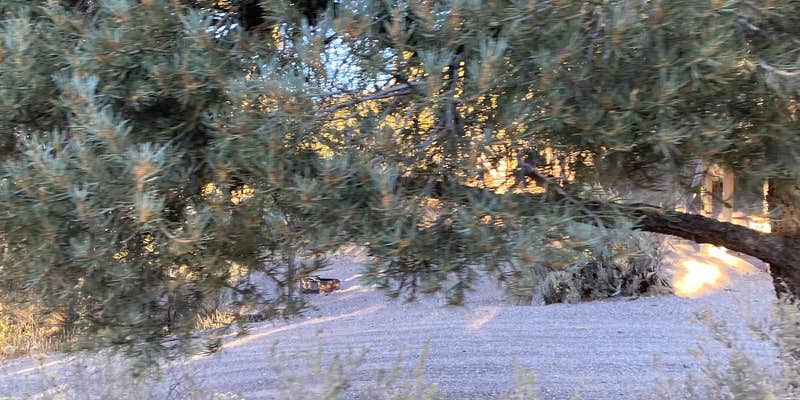 Camper submitted image from Ranch Camp — Spring Valley State Park