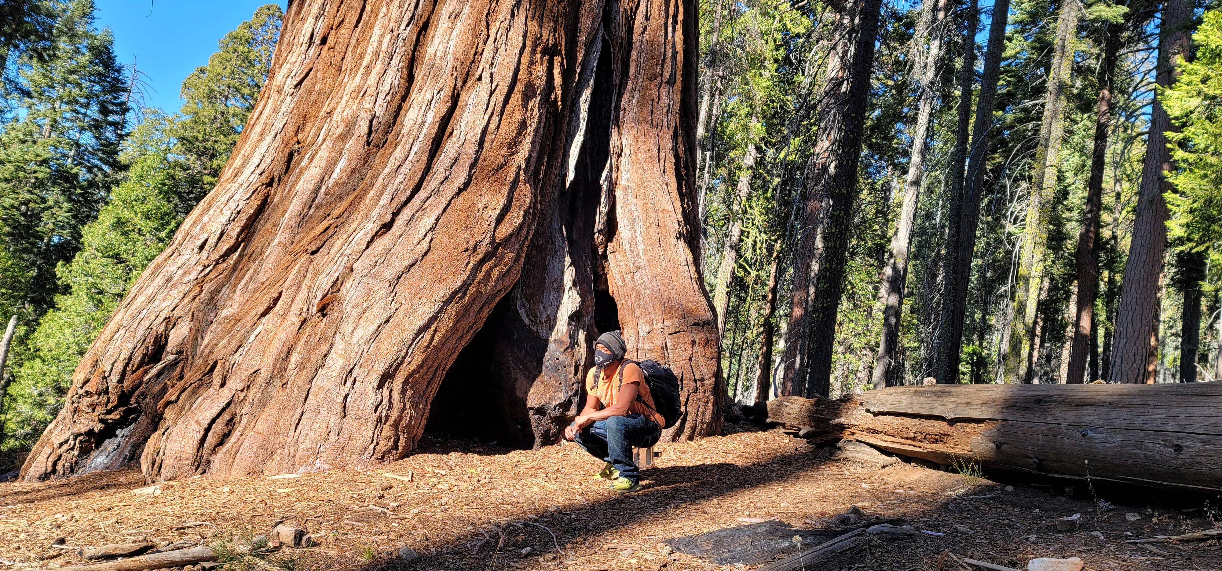 Camper submitted image from Sierra National Forest Summerdale Campground - 4