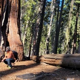 Review photo of Sierra National Forest Summerdale Campground by Manny R., November 27, 2020