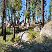 Review photo of Sierra National Forest Summerdale Campground by Manny R., November 27, 2020