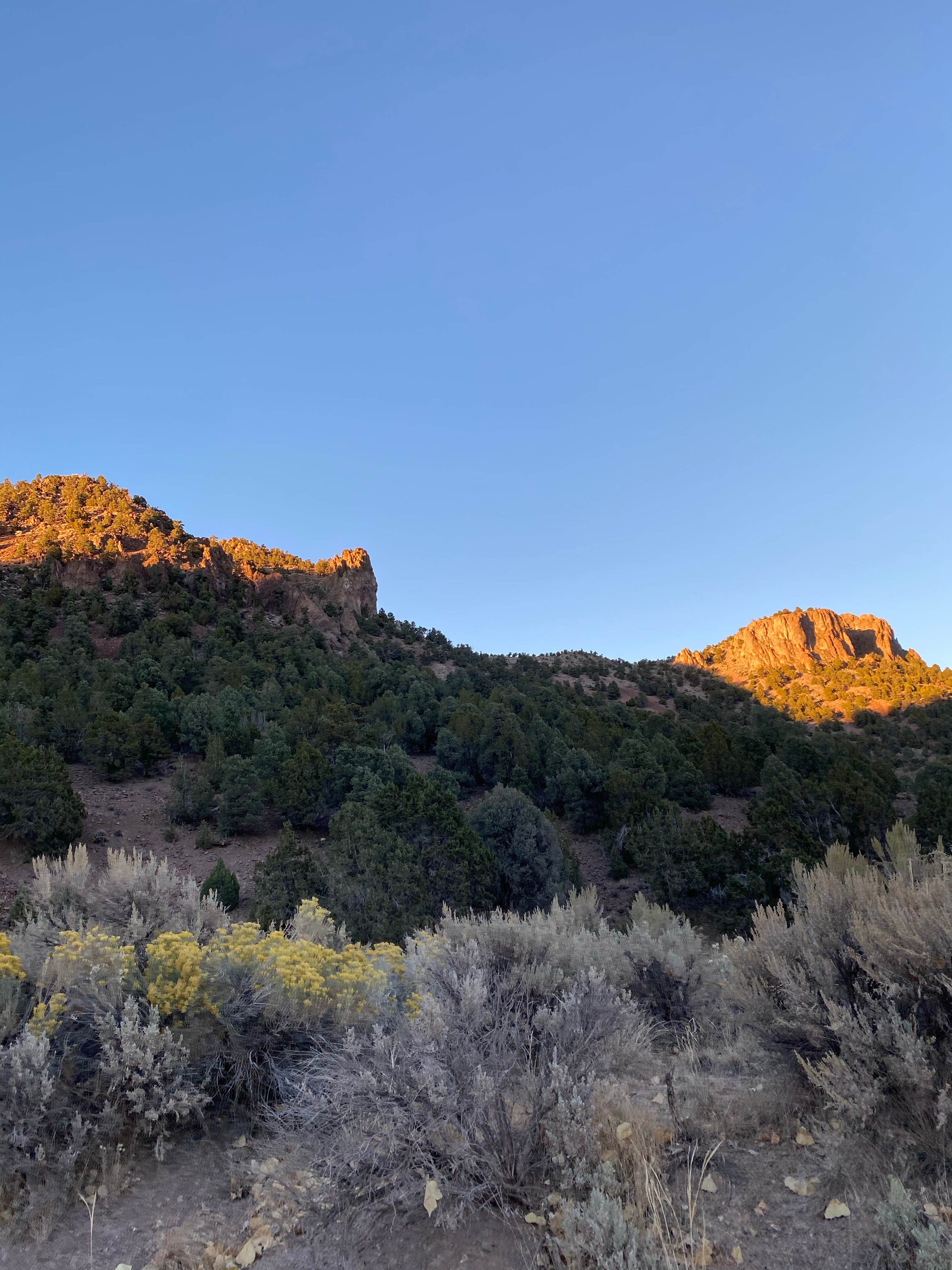 Camper-submitted photo at Meadow Valley Campground near Panaca, NV