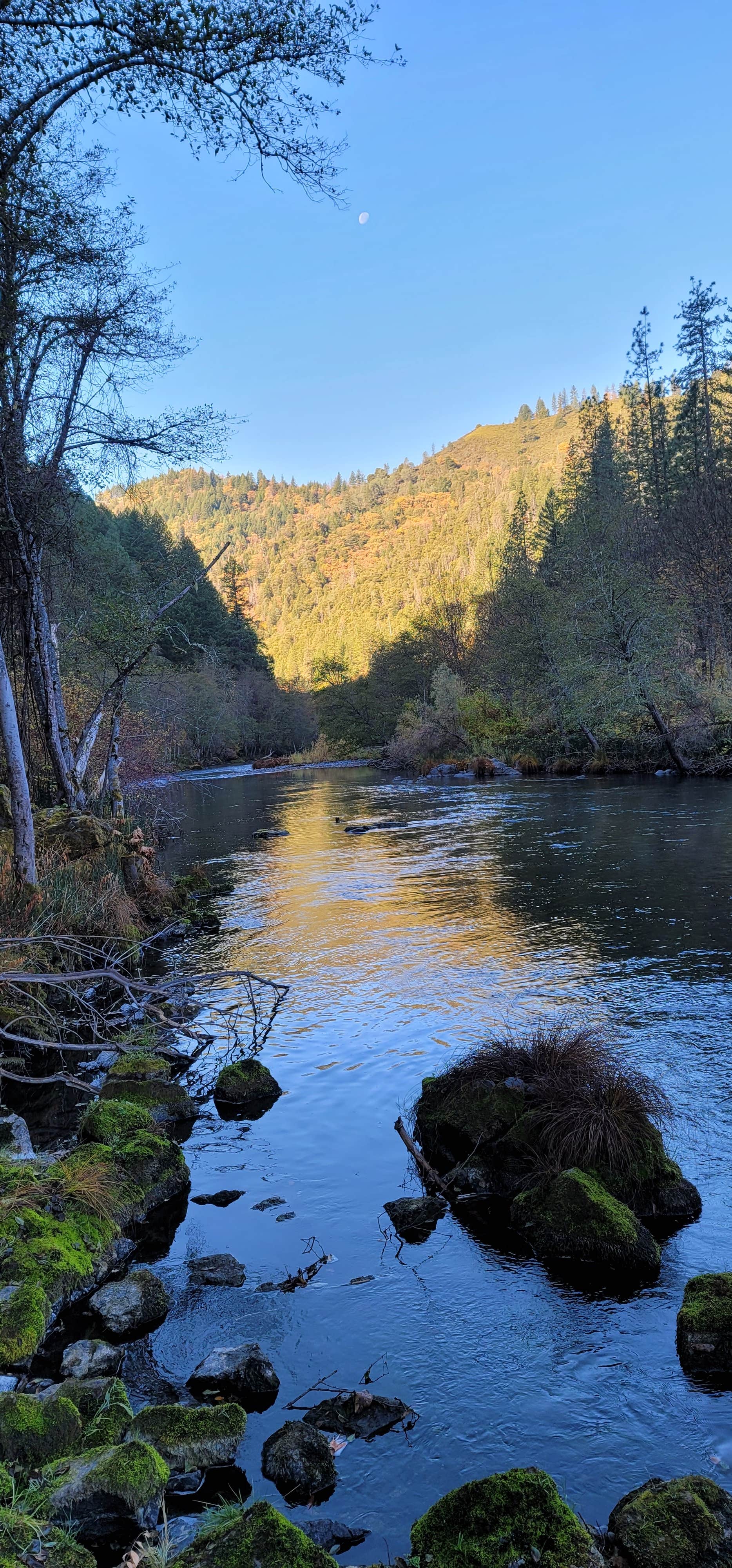 Camper-submitted photo at Steel Bridge Campground near Douglas City, CA