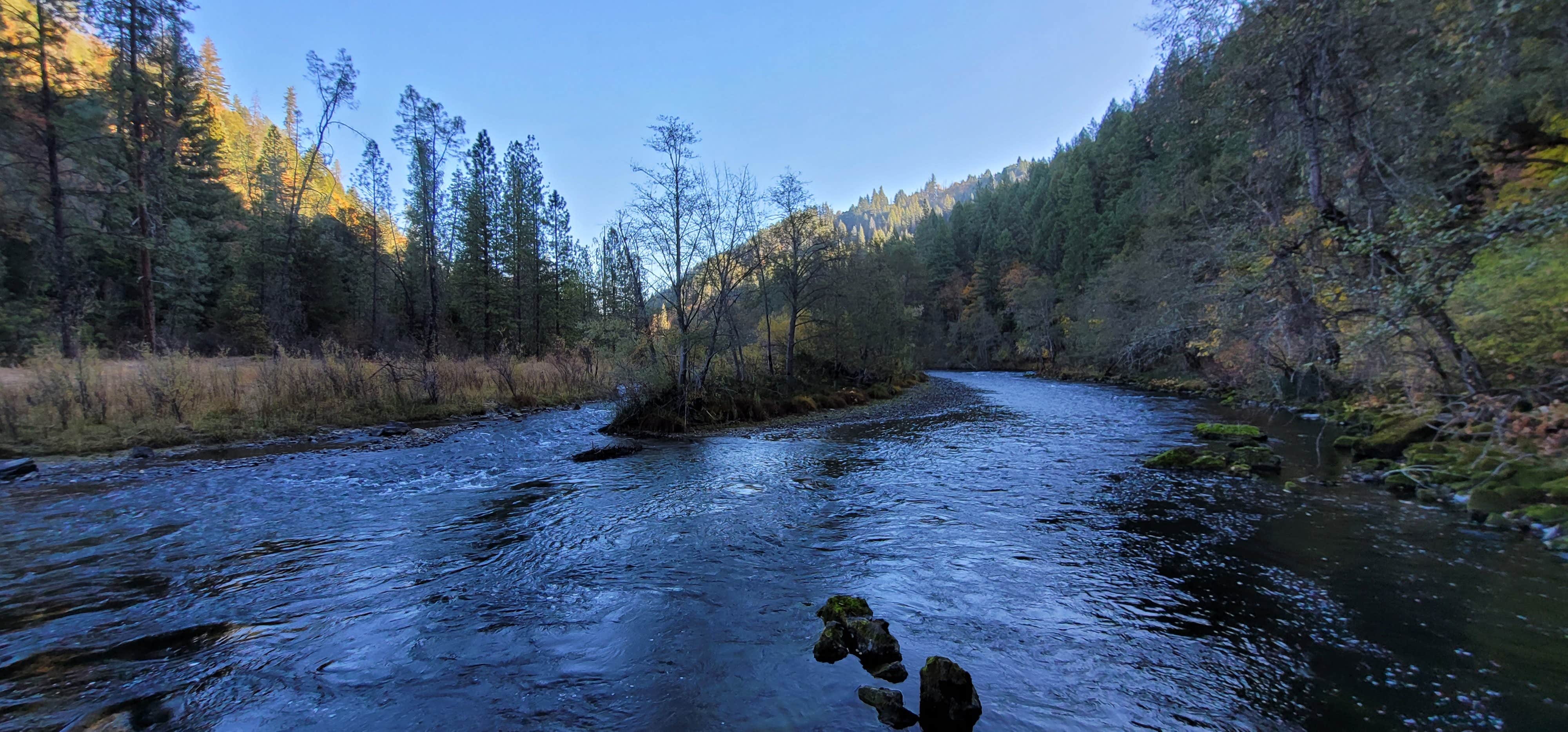 Camper-submitted photo at Steel Bridge Campground near Douglas City, CA