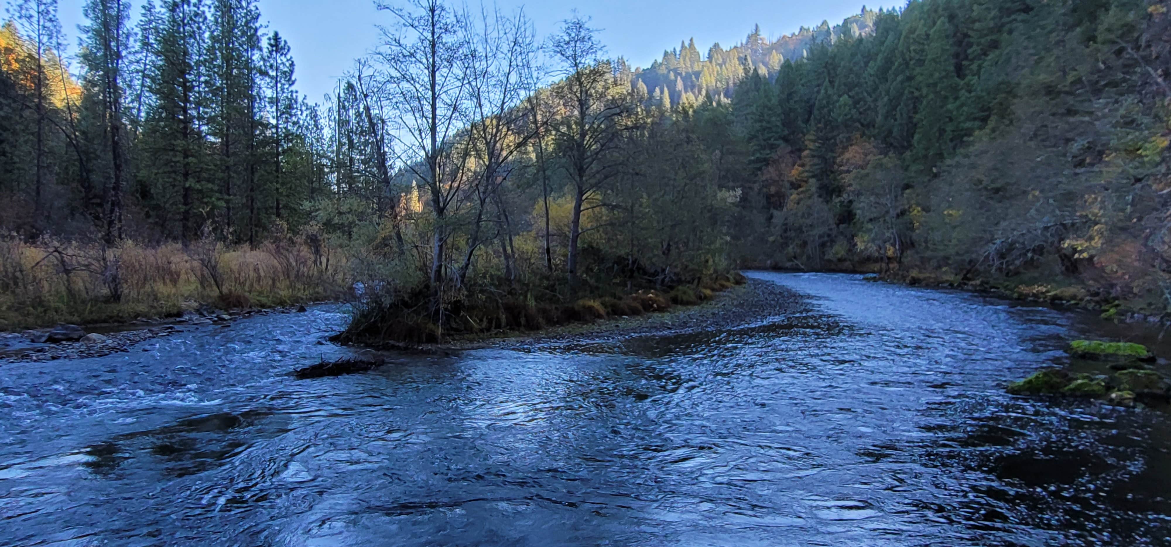 Camper-submitted photo at Steel Bridge Campground near Douglas City, CA