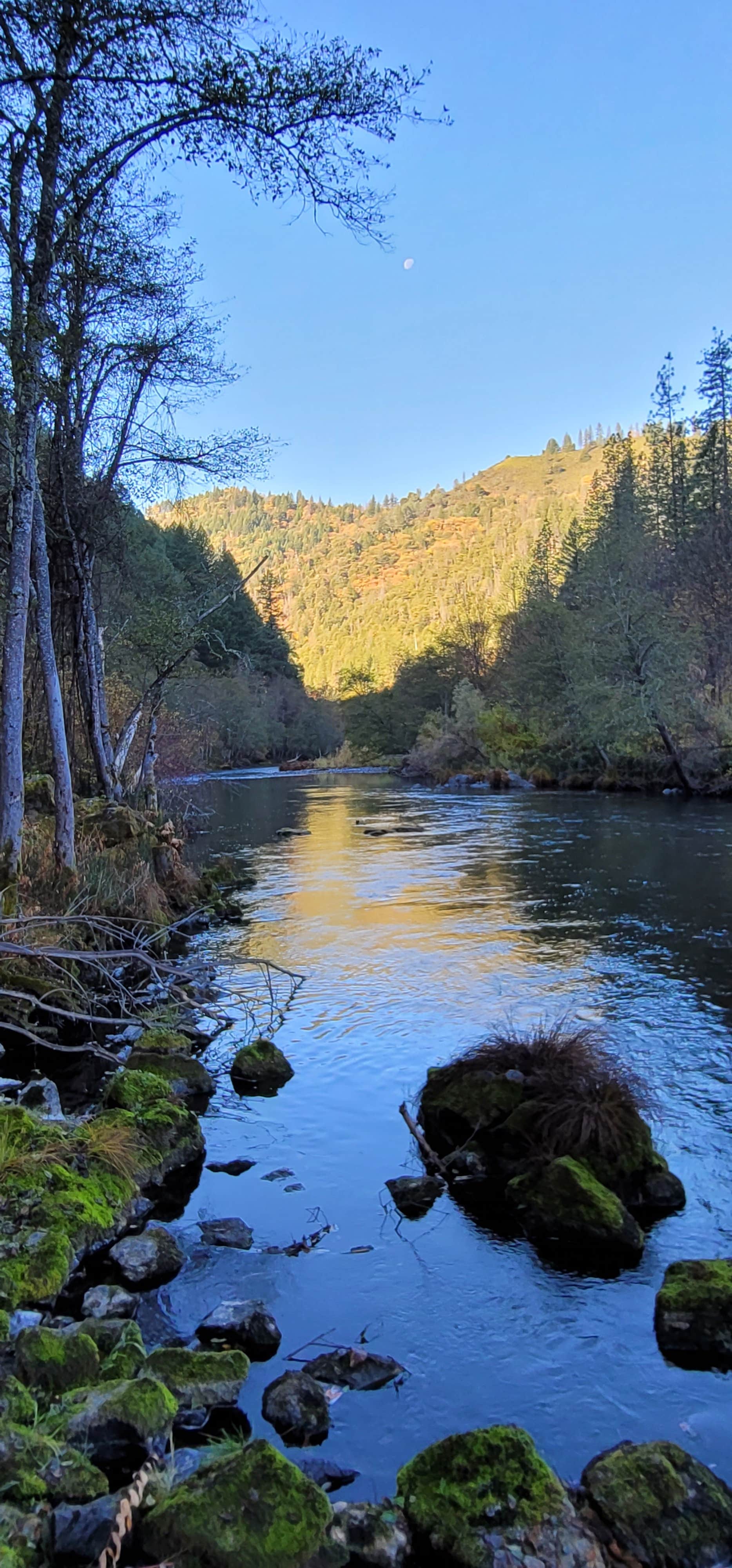 Camper-submitted photo at Steel Bridge Campground near Douglas City, CA