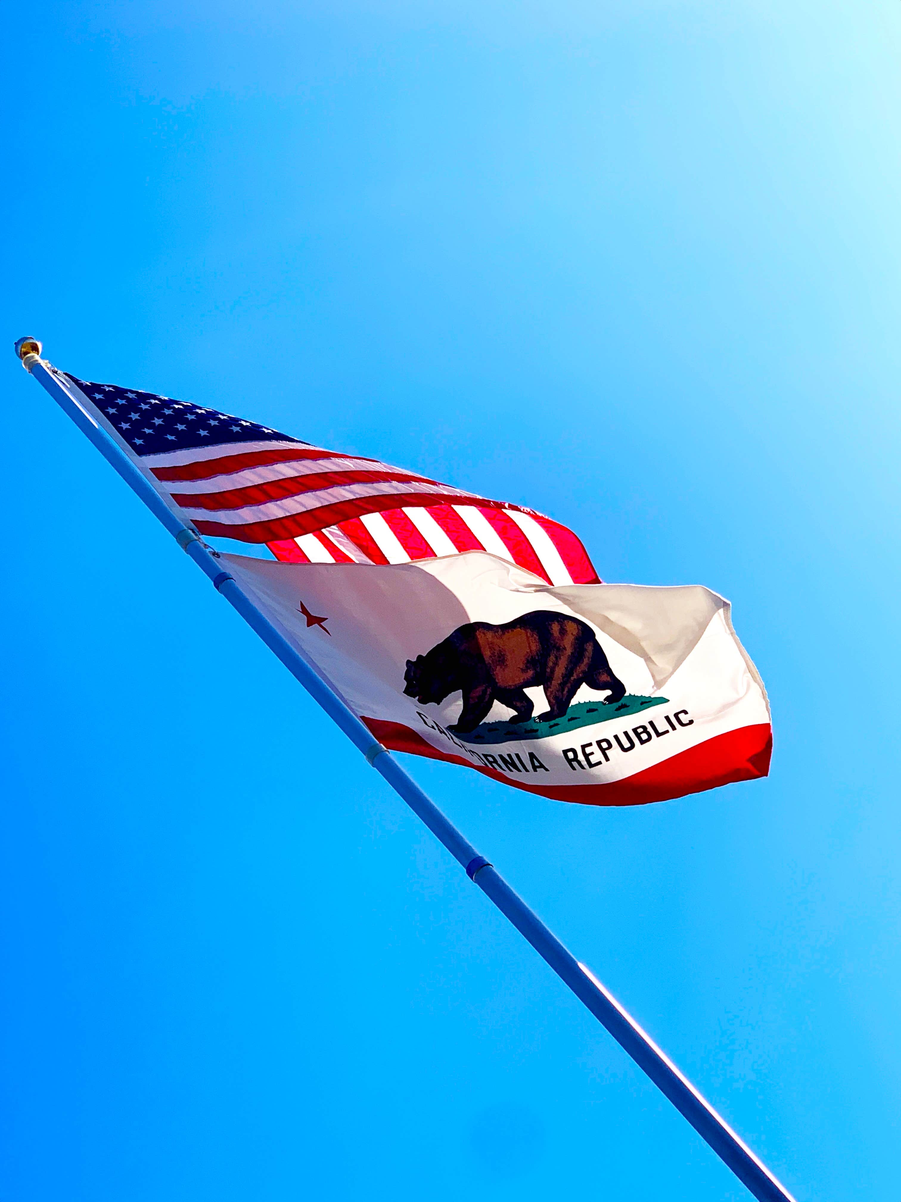 Jose N.'s photo of camping with pets at Canyon Campground — Leo Carrillo State Park Campground near Lake Sherwood, CA