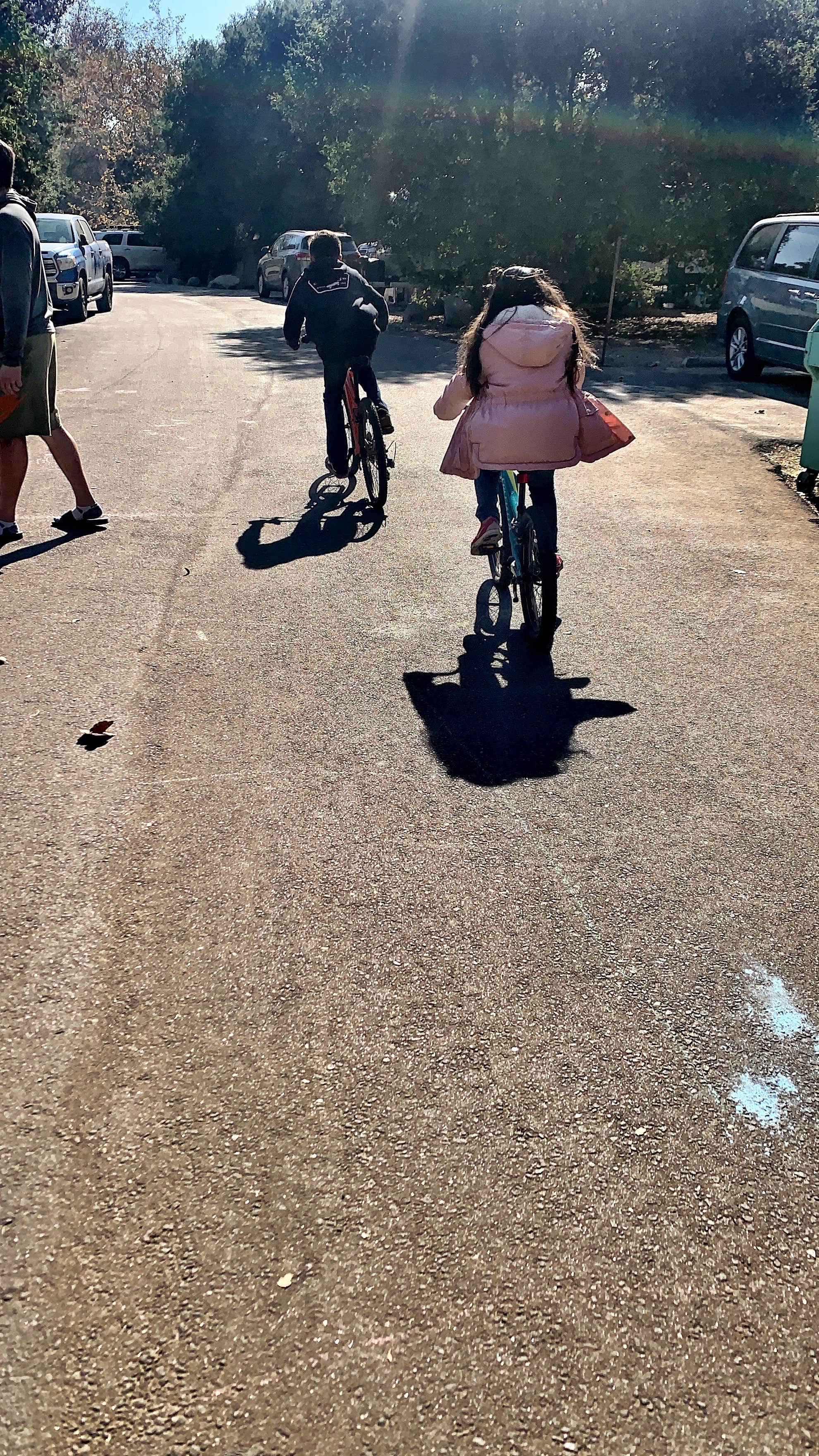 Canyon Campground — Leo Carrillo State Park Campground