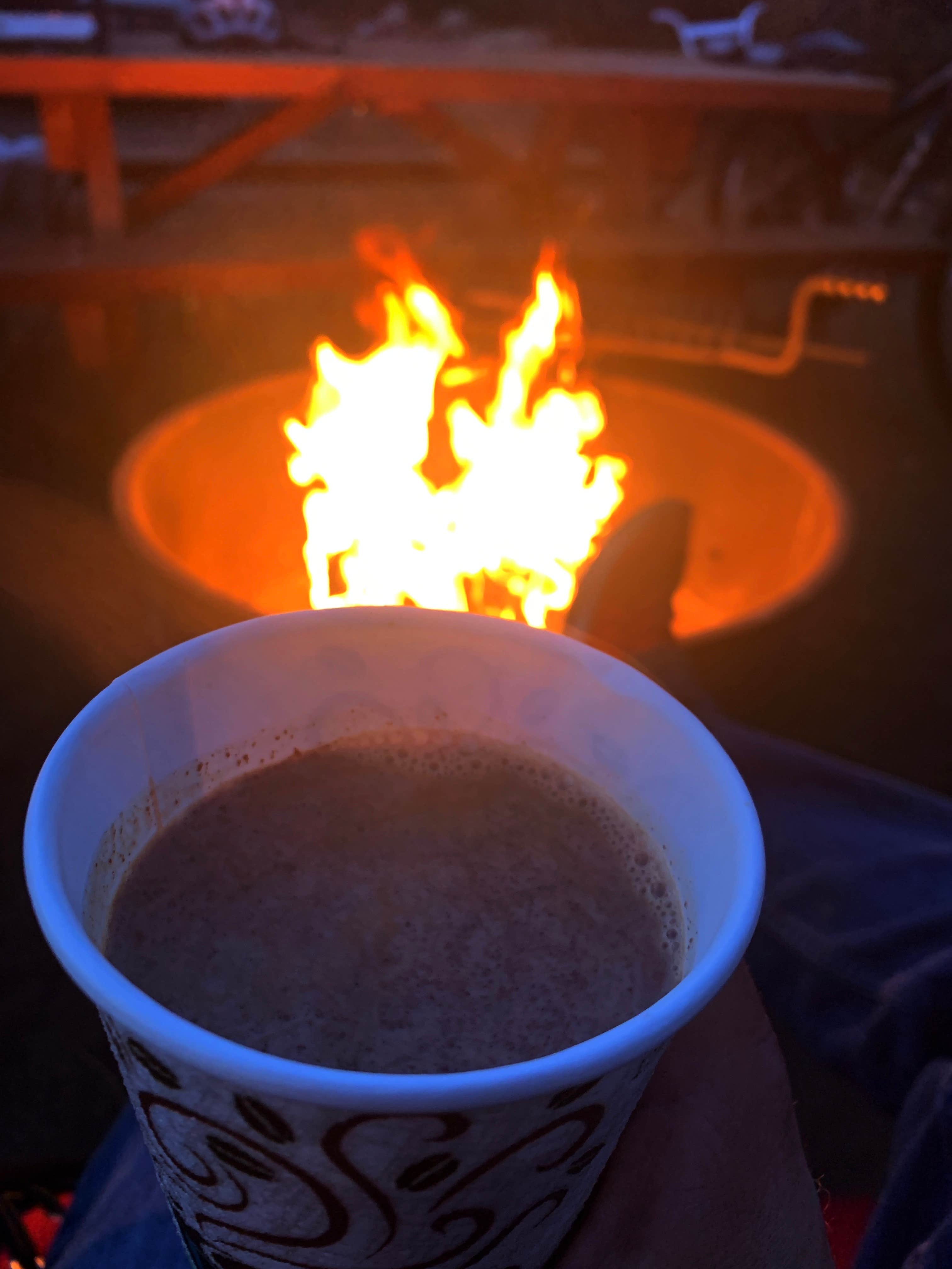 Camper-submitted photo at Canyon Campground — Leo Carrillo State Park Campground near Moorpark, CA