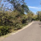 Review photo of Rio Grande Village RV Campground — Big Bend National Park by Robert G., December 1, 2020