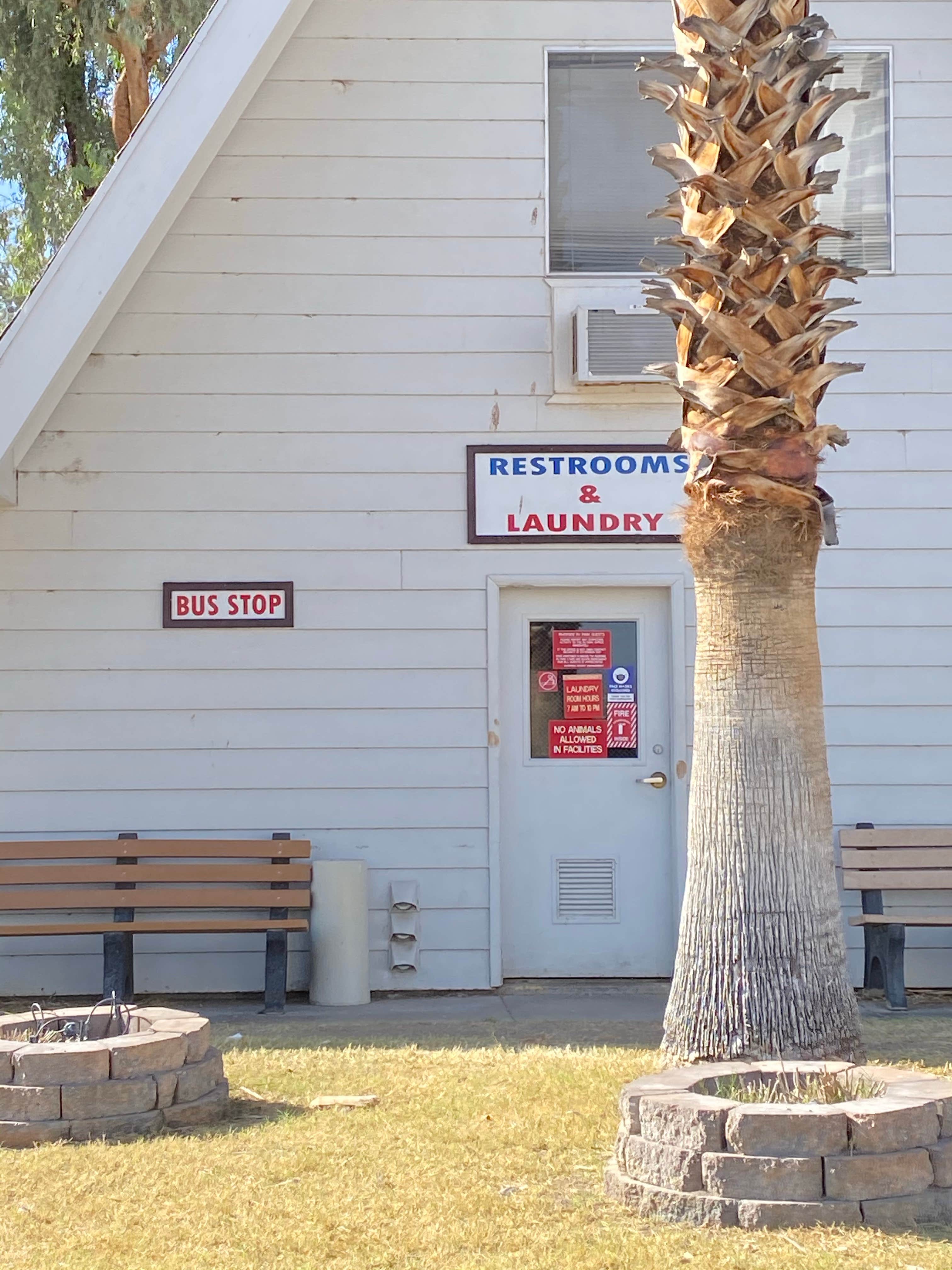 Camper-submitted photo at Riverside Casino and RV Park near Oatman, AZ